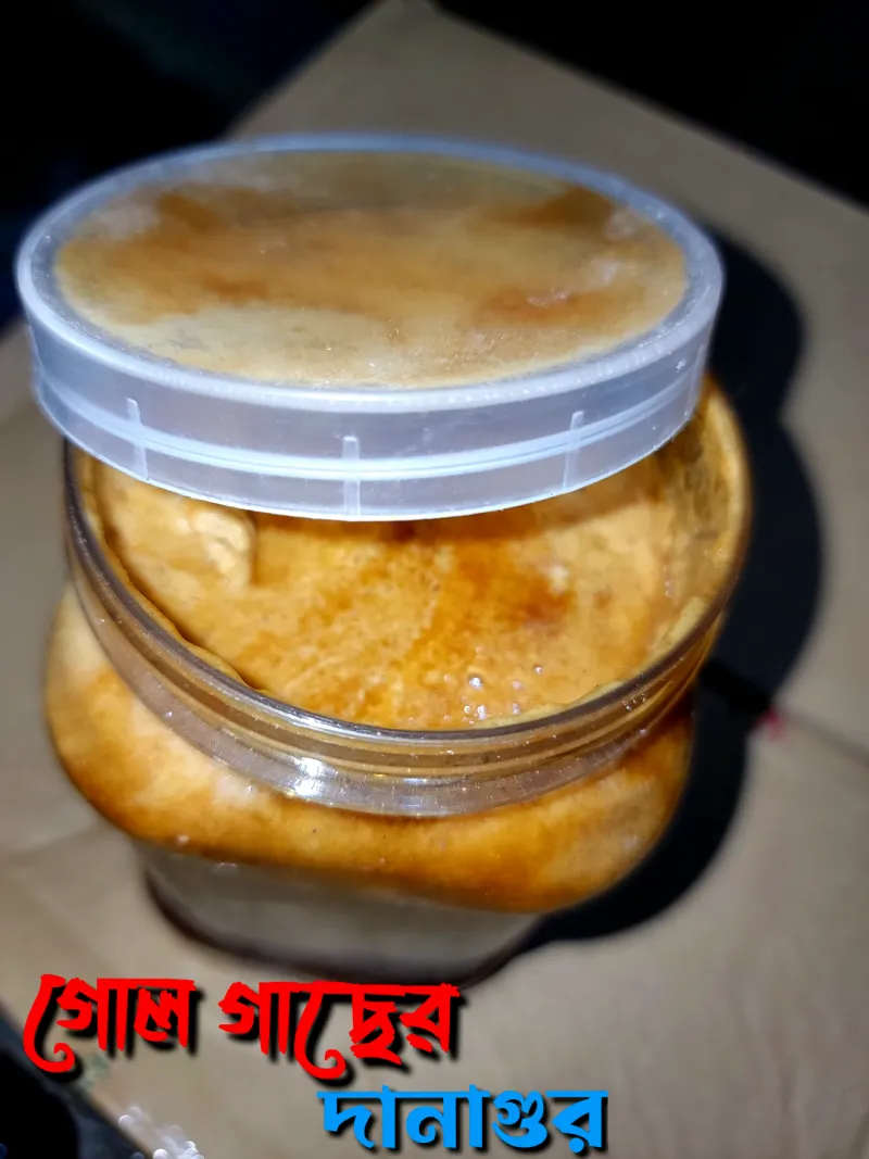 খাঁটি গুর