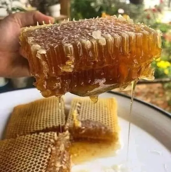 মধু/বাদাম