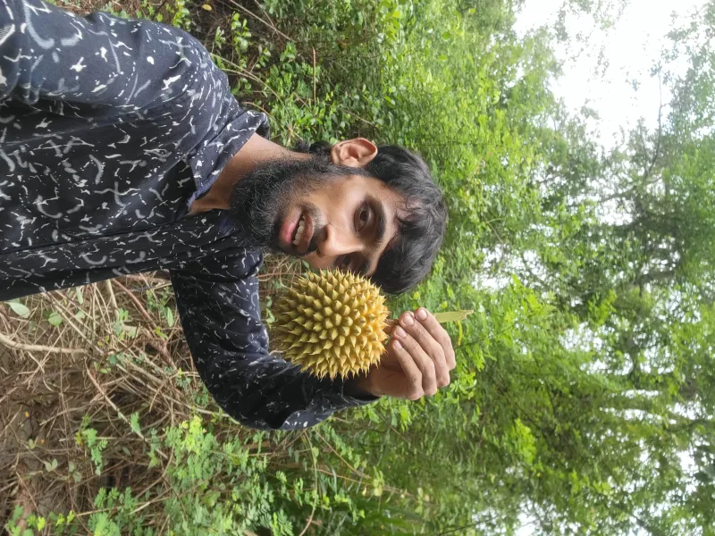 🌿🍈 সুন্দরবনের কেওয়া কাঁঠাল - ১ পিস । Bonno Bazar