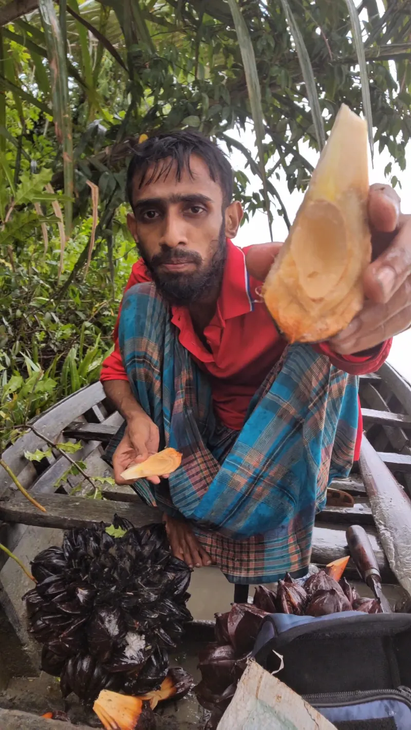 🍈 সুন্দরবনের গোল ফল - ২০ পিস ।Bonno Bazar