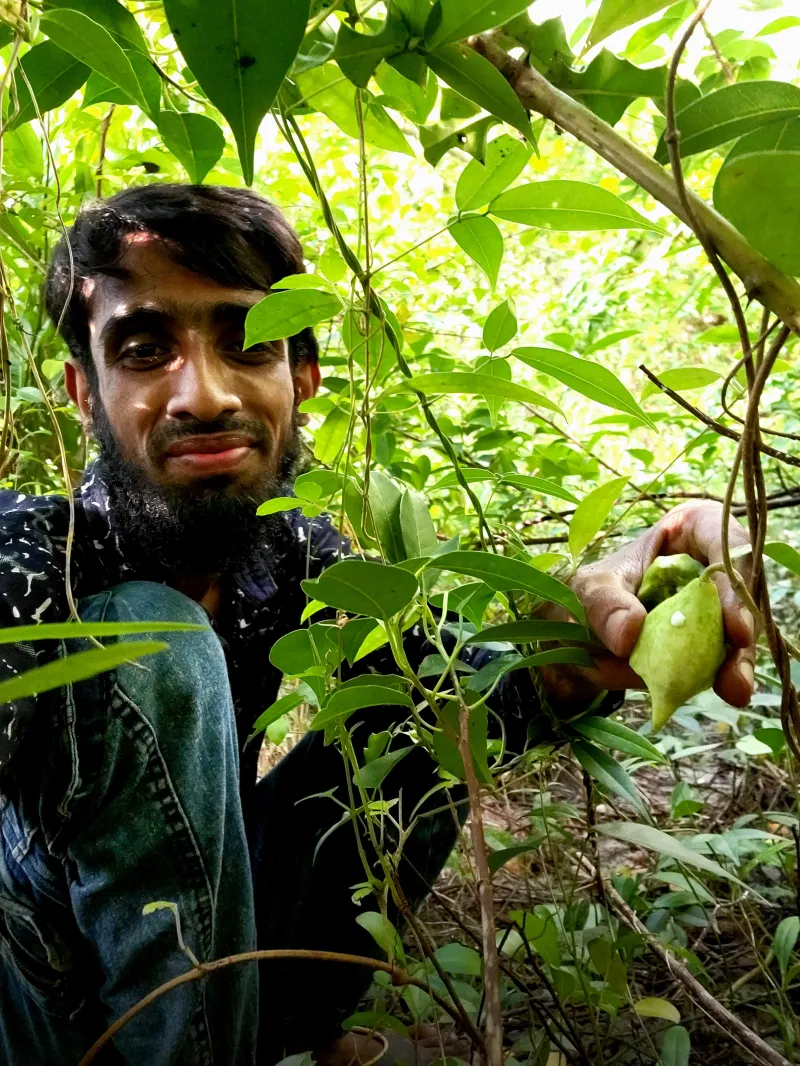 🍈 দুর্লভ সুন্দরবনের বনলতা ফল (তুরুক/মামাকলা) । Bonno Bazar